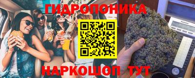 молекула духа Бийск
