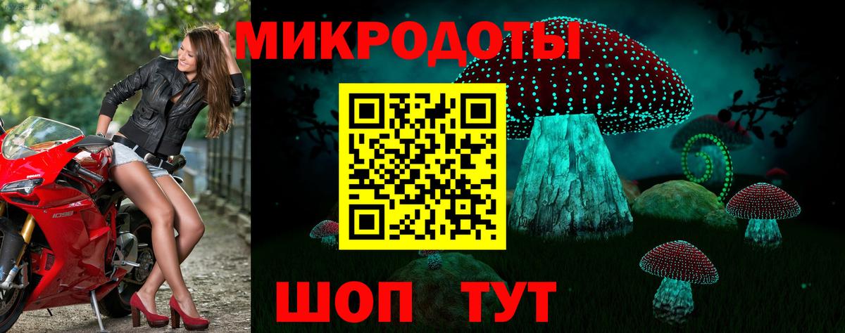 Псилоцибиновые грибы Psilocybine cubensis Горячий Ключ